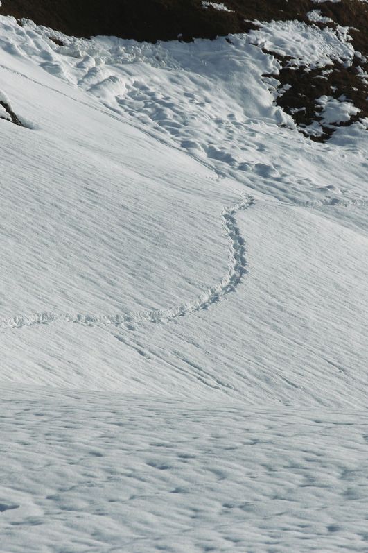 Ein Wanderer folgt einer Reihe feiner Tierspuren, die sich durch den unberührten, tiefen Schnee in Bad Hindelang schlängeln.