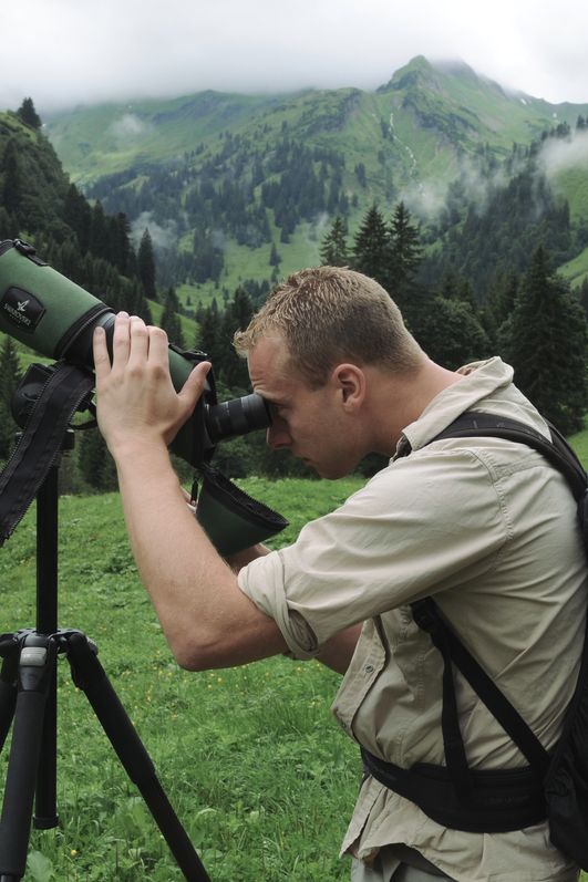 Steinadlerwanderung in Hinterstein