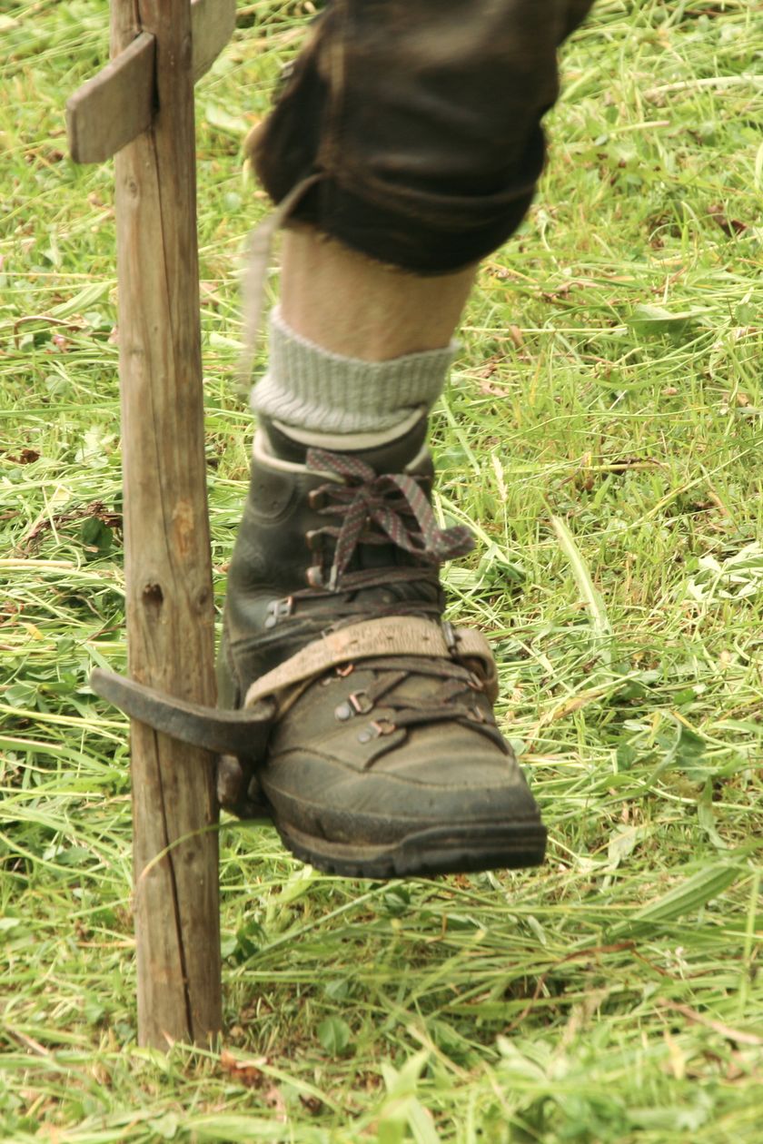 Huinzetreter bei der Heuernte