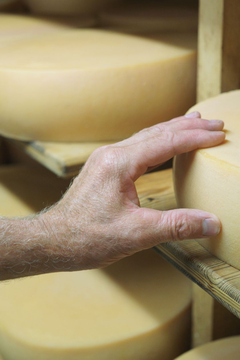 Allgäuer Käse auf der Alpe Kematsried