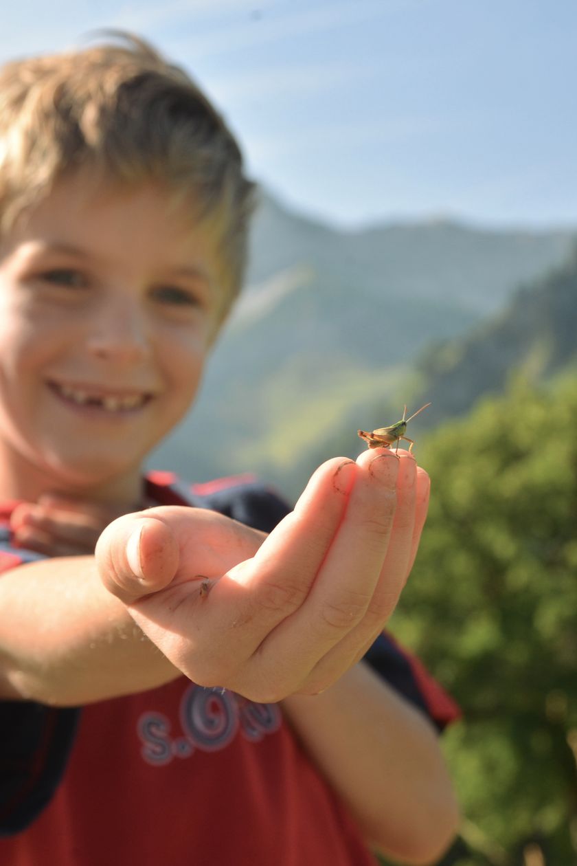 Die Natur in Bad Hindelang entdecken