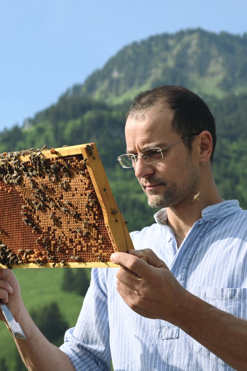 Imker mit Bienen in Bad Hindelang
