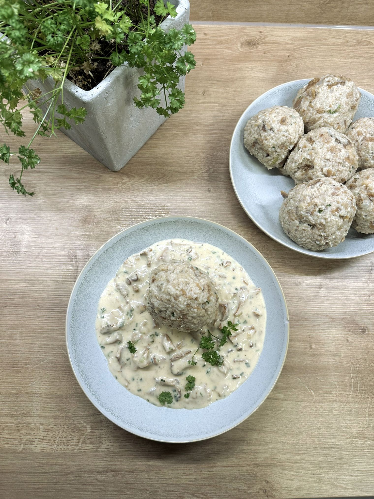 Leckeres Essen: Semmelknödel in Pilzsoße. Im Hintergrund sind weitere Semmelknödel auf einem Teller sowie frische Petersilie in einem Blumentopf zu sehen.