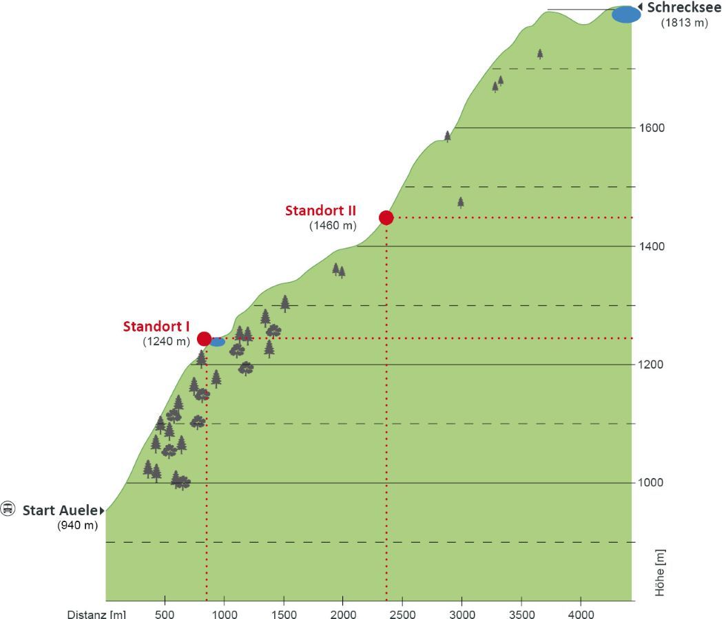 Detail Gehzeit Tafel Schrecksee zeigt Höhenprofil des Wanderwegs mit Start Auele, Standort I, Standort II und dem Schrecksee (1813m).
