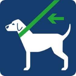 Piktogramm „Hunde Anleinpflicht“: Ein weißer Hund auf blauem Hintergrund mit einer grünen Leine und einem Pfeil.