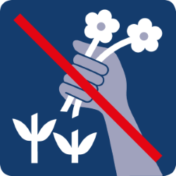 Piktogramm „Keine Pflanzen entnehmen“: Eine durchgestrichene Hand hält Blumen, um das Verbot des Entfernens von Pflanzen anzuzeigen.