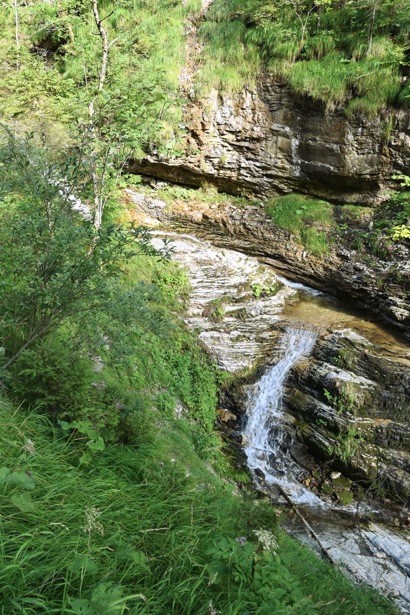 Wildbachtobel