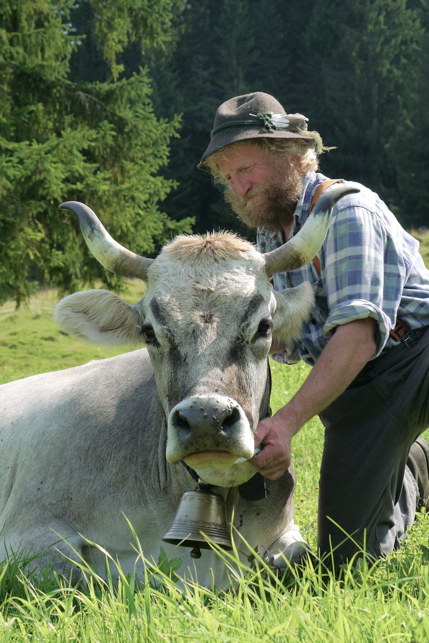Alphirte von der Alpe Mösle