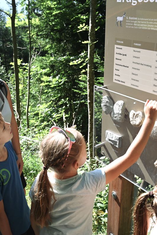Eine Mutter schaut zu, wie ihre Kinder eine geologische Tafel auf dem Lehrpfad in Bad Hindelang berühren, auf der verschiedene Gesteine und Fossilien dargestellt sind.